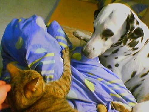 G�ste & Freunde: Beate Kavka