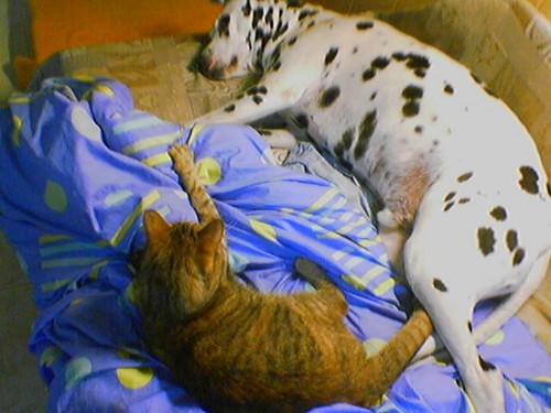 G�ste & Freunde: Beate Kavka