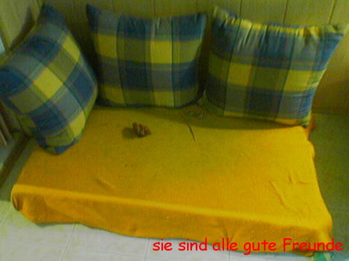 G�ste & Freunde: Beate Kavka