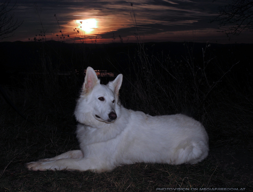 The Spirit of Friends 19