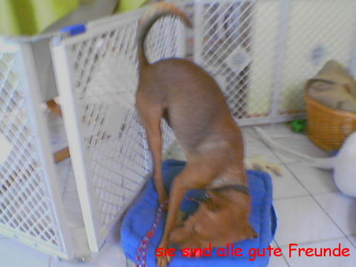 G�ste & Freunde: Beate Kavka