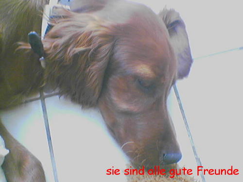 G�ste & Freunde: Beate Kavka