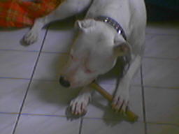 G�ste & Freunde: Beate Kavka