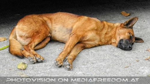 Namuang Jungle Waterfall Trip 16