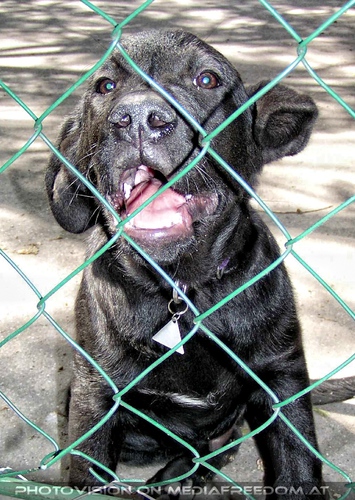 Freundliche Begr��ung