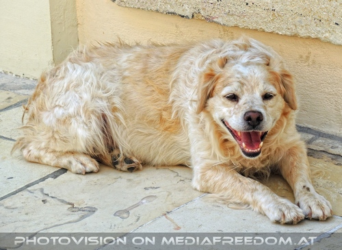 Geburtstag auf griechisch 36