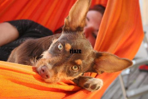 Was kann ich heute noch anstellen?: Macy