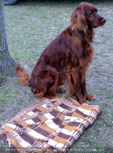 Erlebbare Geschichte 07