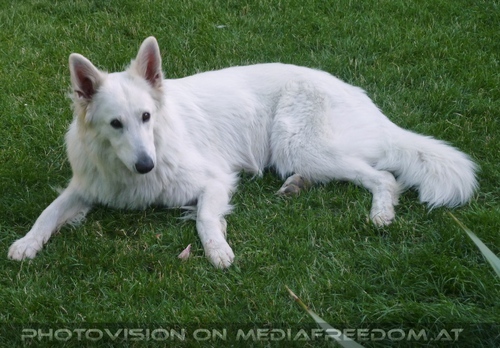 The Pitmasters Birthday Party - Pix 07: Spirit