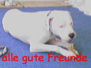 G�ste & Freunde