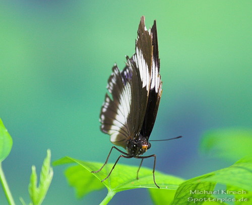 Kurz vor dem Abflug: Michael Kirsch
