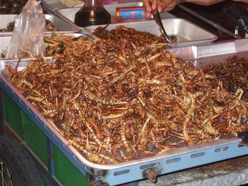 Gebackene Heuschrecken