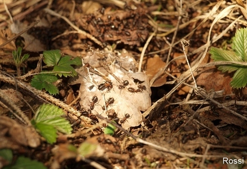 Arbeitslosigkeit? Kein Thema