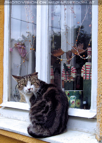 1000 sch�ne Dinge 02