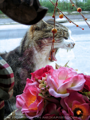 1000 sch�ne Dinge 07