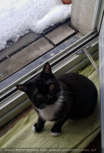 Ich glaub ich geh wieder...