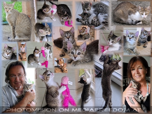 Kittygarten mit Kittyg�rtner: Eva D., Charly Swoboda