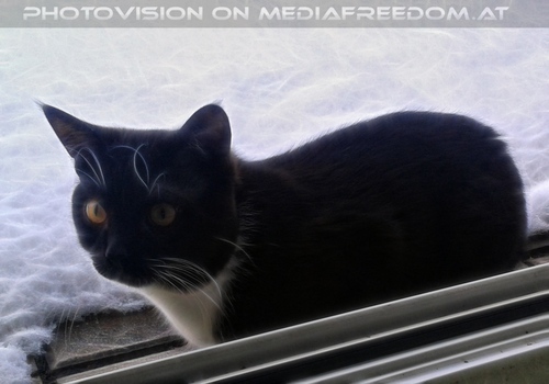 Weiter mag ich nicht...