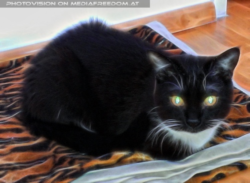 Da ist es gem�tlicher...