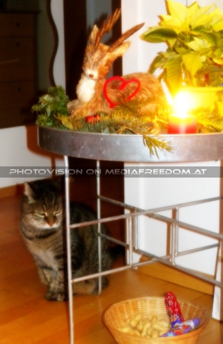 Jeanny schaut auf Krampus und Nikolo