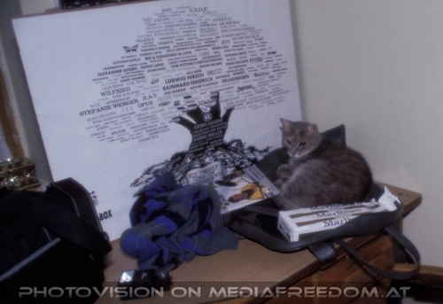 Under the family tree of austrian rock