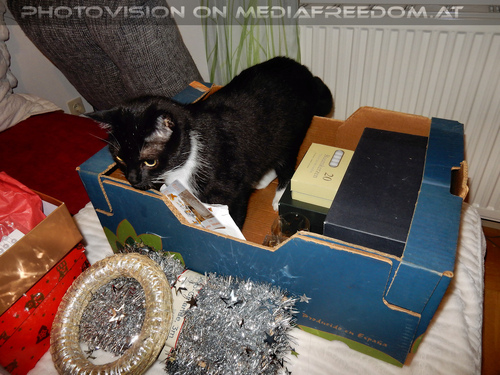 Vorweihnachtsabend 03