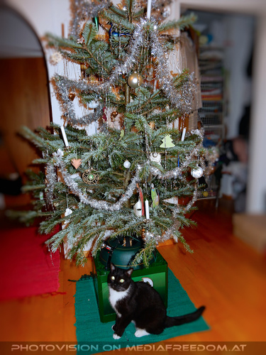 Vorweihnachtsabend 08: Ebony