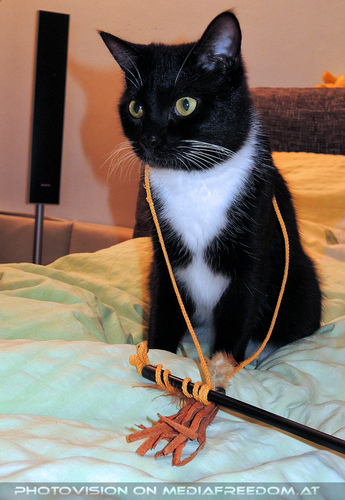 Ebonys Spielenachmittag 05