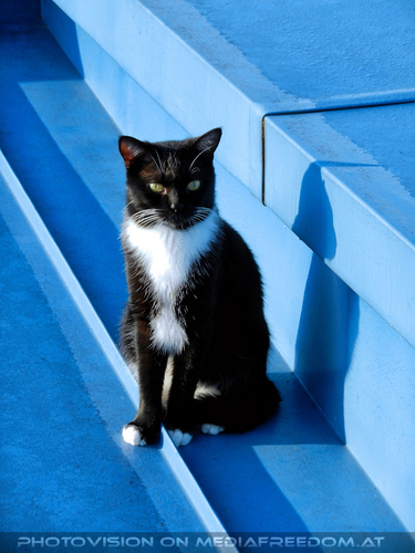 Good Morning Ebony 2