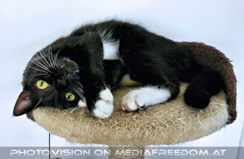 Good Morning Ebony 4