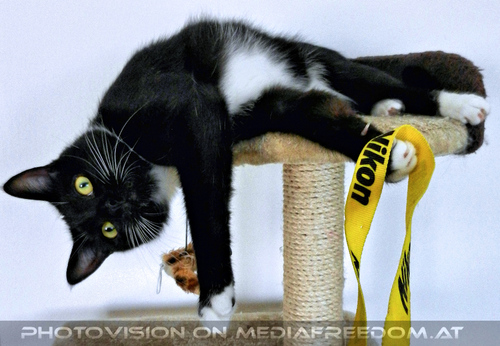 Good Morning Ebony 5