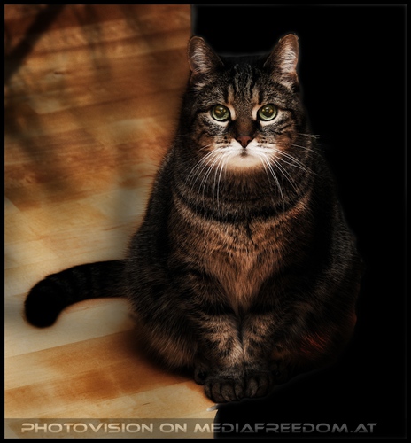 Between light and the dark