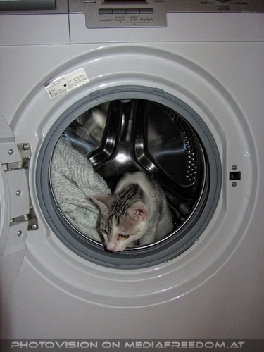 Abk�hlung suchen 14