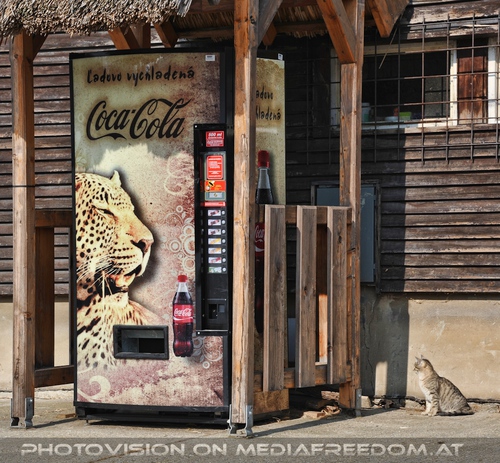 Katzengetr�nkeautomat