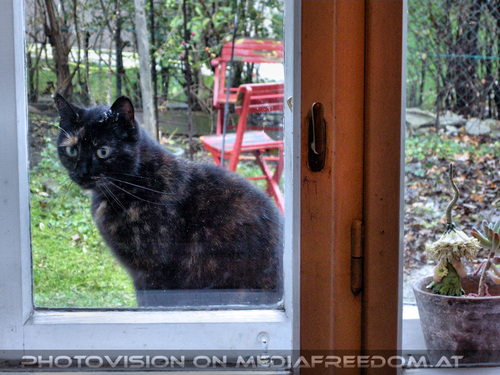 Mystische Geborgenheit 6