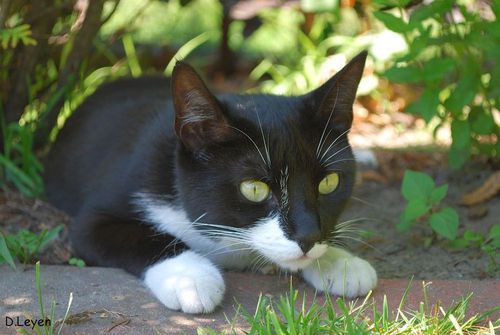 Alles auf Beobachtung