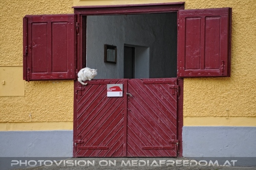 In den Stallungen 12