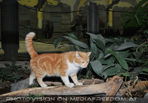 Besuch im Elefantenhaus