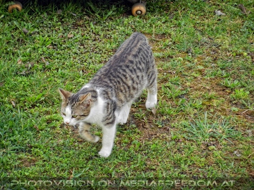 Urlaub am Bauernhof 3