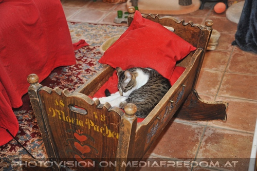 Patentreffen Bild 25