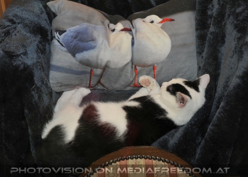 Patentreffen Bild 59