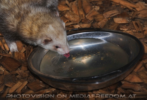 Patentreffen Bild 24