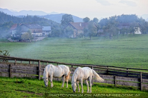 Hemmungslos Liebe 83