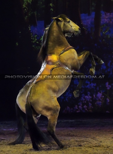 Magische Begegnungen 35