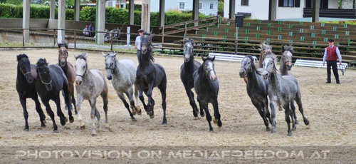 Die Pr�sentation 08