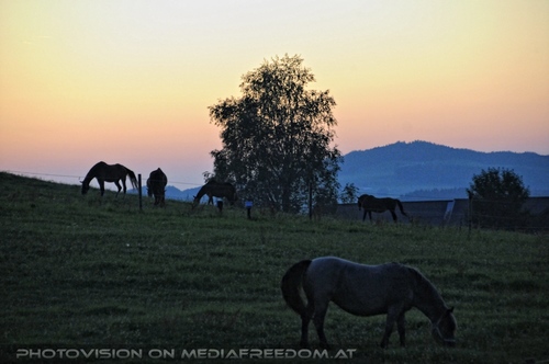 Hemmungslos Liebe 84