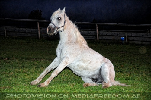 Hemmungslos Liebe 85