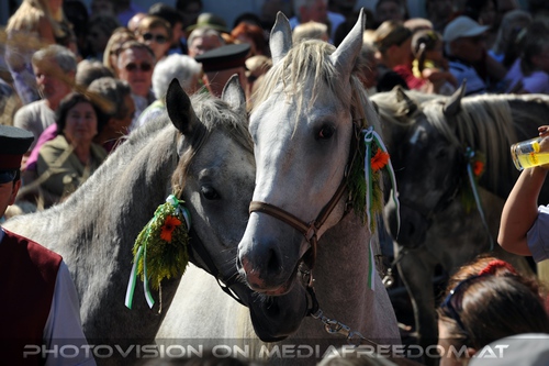 Einzug in K�flach 06