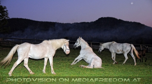 Hemmungslos Liebe 86