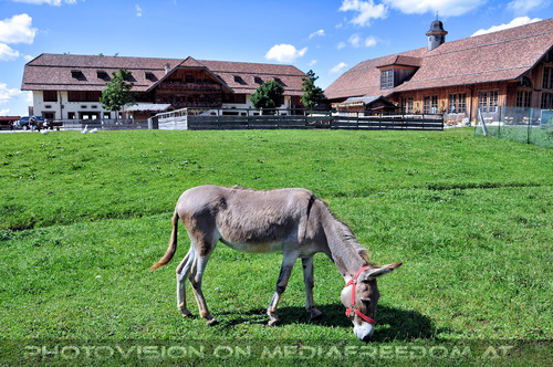 Ein Paradies f�r Tiere 50
